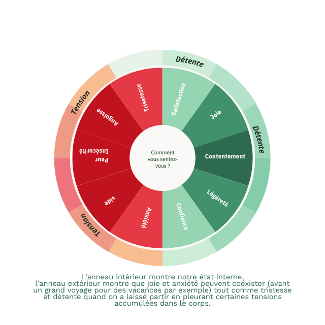 roue-émotions-santé-mentale-caroline-henry